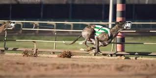 Tucson Greyhound Park